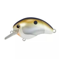 Poisson nageur Shimano Bantam World Rush Flash Boost 5,6cm black gold