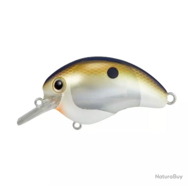 Poisson nageur Shimano Bantam World Rush Flash Boost 5,6cm black gold