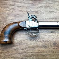 Pistolet &agrave; percussion &agrave; balle forc&eacute;e