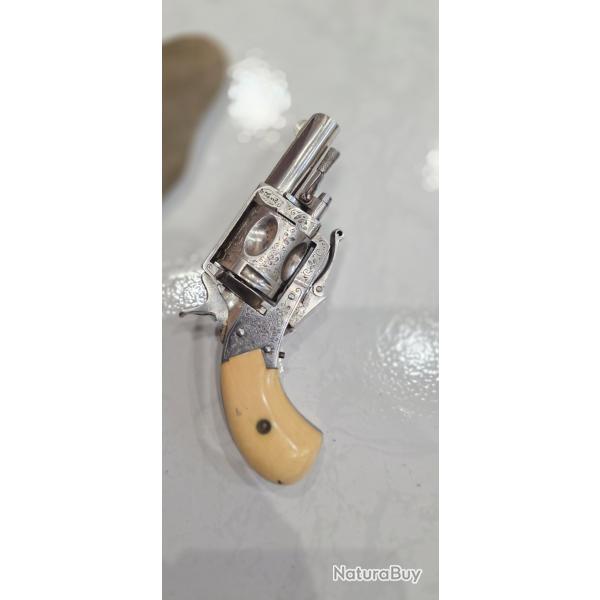 Revolver Bulldog tr�s beau calibres 320