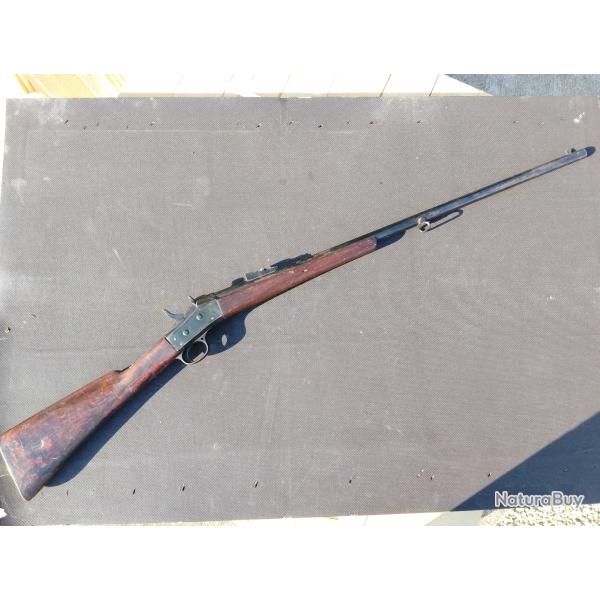 Rolling block m1867 su�dois