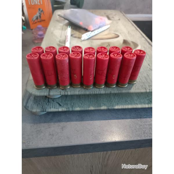 Lot Cartouche calibre 16