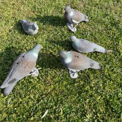 5 Pigeons appelants plastique