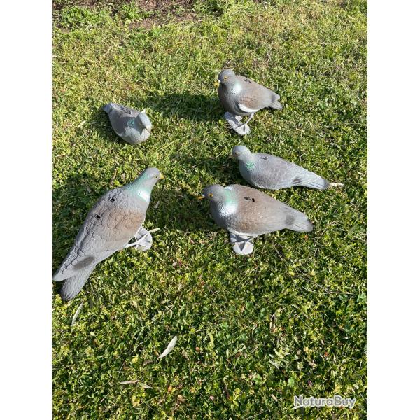 5 Pigeons appelants plastique