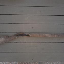 Crosse Type 1777-An 9 modifi&eacute;e Chasse