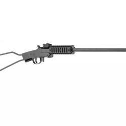 CARABINE CHIAPPA LITTLE BADGER 22 MAGNUM