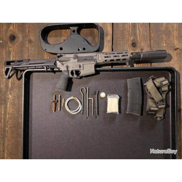 CARABINE SEMI AUTOMATIQUE DANIEL DEFENSE PDW SBR 7" COBALT .300BLK + RDS ASE DUAL Short Black