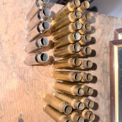 Douilles 338 winchester Magnum Norma et Hornady