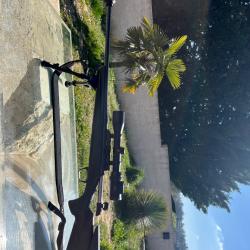 Browning X-BOLT 7rm + lunette swarovski Z6i 1.7x10-42 + bipied + R&eacute;ducteur de son