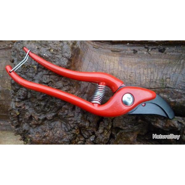 SECATEUR A ROSIER  1 2026   9