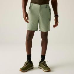 Short de Randonn&eacute;e Respirant Homme Regatta Leesville Shorts III Beige
