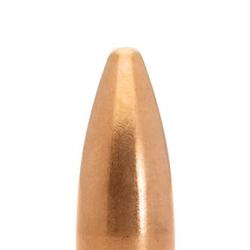 Ogives LAPUA FMJ S569 - Cal: .22 - 5.56 (.224") - 55GR (3,6gr) - Par boite de100