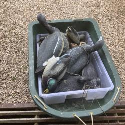 Formes plastiques et barquette