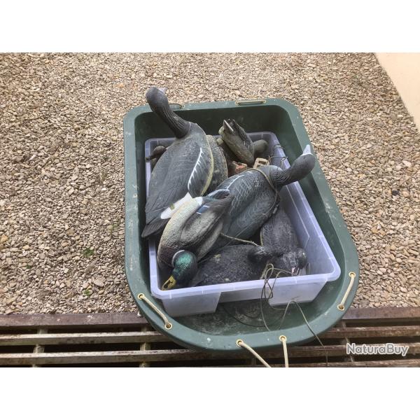 Formes plastiques et barquette