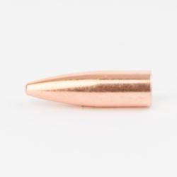 Cam Pro Calibre .308 SP-FCP 165 grains X500