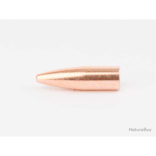 Cam Pro Calibre .308 SP-FCP 165 grains X500