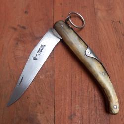 Ancien Couteau &agrave; palme PARAPLUIE &Agrave; L &Eacute;PREUVE Manche en Corne