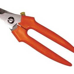 Pince a ongles pour chiens inox