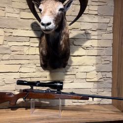 Carabine Verrou Sauer Weatherby Europa Cal. 9.3x64 + Zeiss Diatal-Z 8x56 + 1� sans prix de R&eacute;serve.