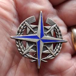 INSIGNE BAO 139 LAHR ALLEMAGNE ( DRAGO - A 758 )