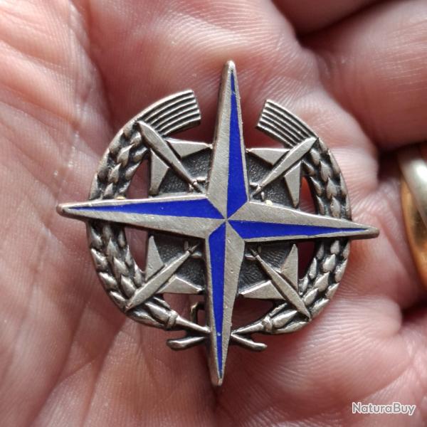 INSIGNE BAO 139 LAHR ALLEMAGNE ( DRAGO - A 758 )