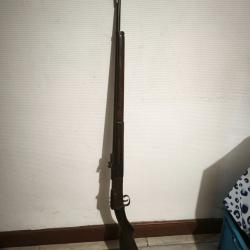 Carabine lebel scolaire cat&eacute;gorie D la pr&eacute;f&eacute;r&eacute;e nancy