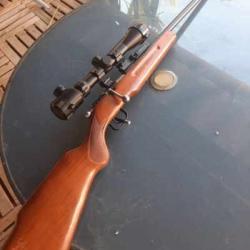 CARABINE MONOCOUP 22LR