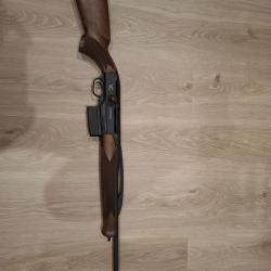 Linergie verney carron 308win