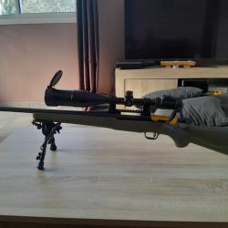 Carabine mossberg patriot