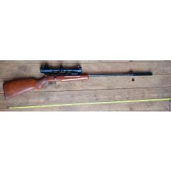 Carabine 22LR avec lunette et silencieux