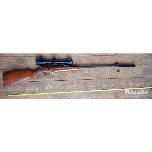 Carabine 22LR avec lunette et silencieux