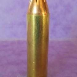 UNE !!! SUPERBE Cartouche cal. 450 BUSHMASTER balle" FTX HORNADY"