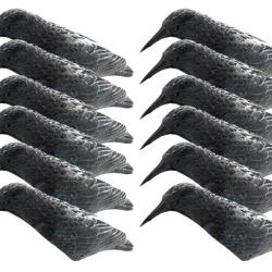 Flash ! Pack 12 appelants corbeaux coquilles