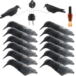 Flash ! Pack DEBUTANT 12 appelants corbeaux coquilles et man&egrave;ge &agrave; corbeaux