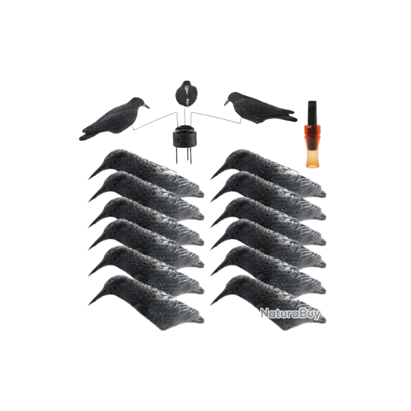 Flash ! Pack DEBUTANT 12 appelants corbeaux coquilles et man�ge � corbeaux