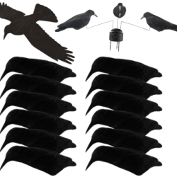 Flash ! Pack DECOUVERTE 12 appelants corbeaux coquilles floqu&eacute;es, EVA et man&egrave;ge &agrave; corbeaux