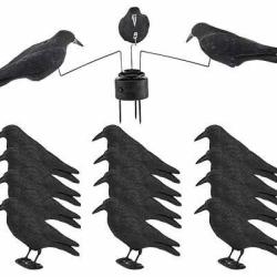 Flash ! Pack FIRST 12 appelants et man&egrave;ge &agrave; corbeaux