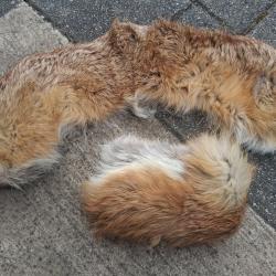 COL ET UNE SEULE MANCHE EN FOURRURE DE RENARD VINTAGE URSS CCCP 1970