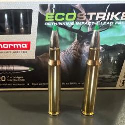 Balles NORMA ECOSTRIKE 30-06 10,7g/165gr boite de 20