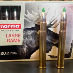 Balles NORMA ECOSTRIKE 9,3x74R 16,2g/250gr boite de 20