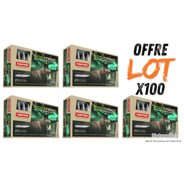 Lot munitions Norma Ecostrike 250g - Cal. 9.3x62 - X100 munitions