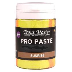 Spro P&acirc;te &agrave; truite Pro Paste Fish Sunrise