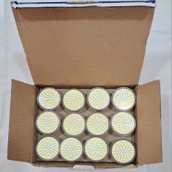 Lot de 12 Ampoules Led 7W