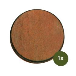 Ecusson troph&eacute;e sanglier diam.22cm