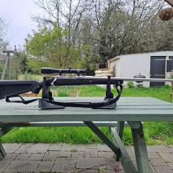 Ruger 77 mark 2 squelette inox en 300 win mag