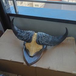 Troph&eacute;e Buffle Africain