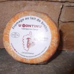 fromage u muntinu fromage de brebis