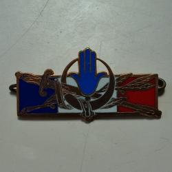 INSIGNE TROUPE FRANCAISE ALGERIE