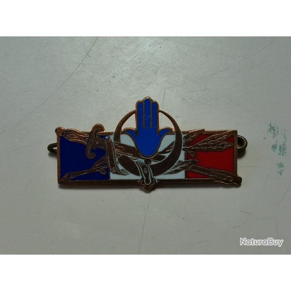 INSIGNE TROUPE FRANCAISE ALGERIE