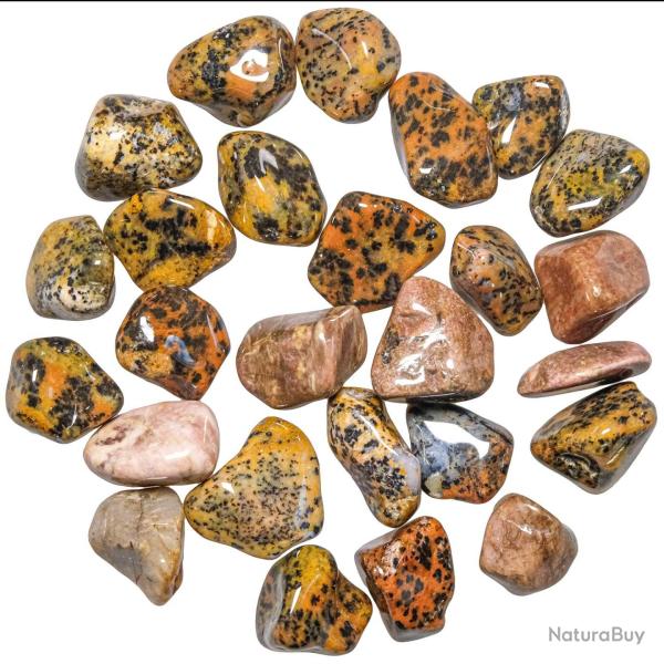 Pierres roul�es agate cheetah - 2 � 3 cm - Lot de 2